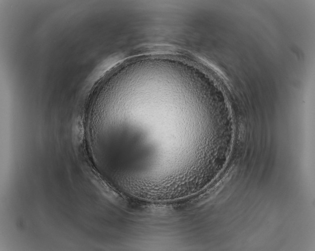 X0000113201407200909171504