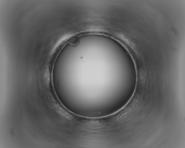 X0000113201408200909171504