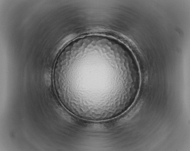 X0000113201409200909171504