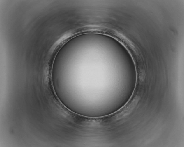 X0000113201411200909171504