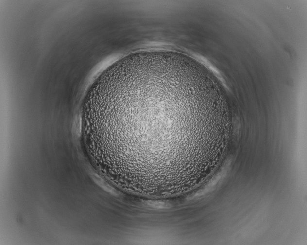 X0000113201413200909171504