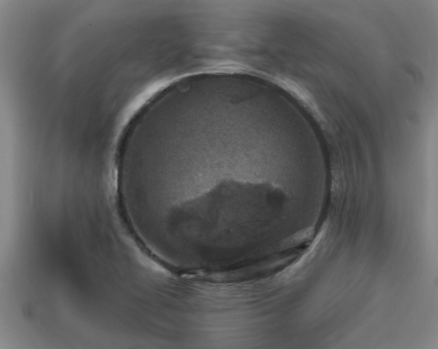 X0000113201414200909171504