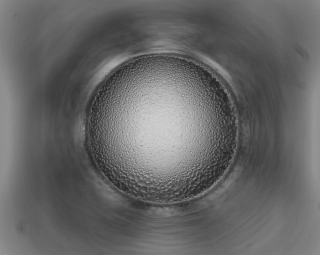 X0000113201415200909171504