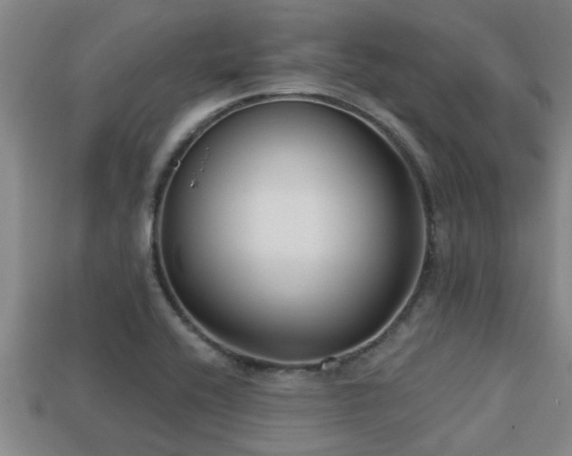 X0000113201416200909171504