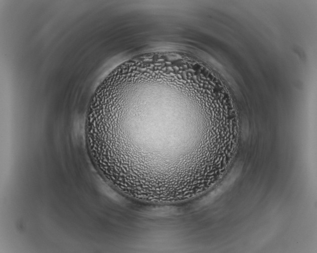 X0000113201417200909171504