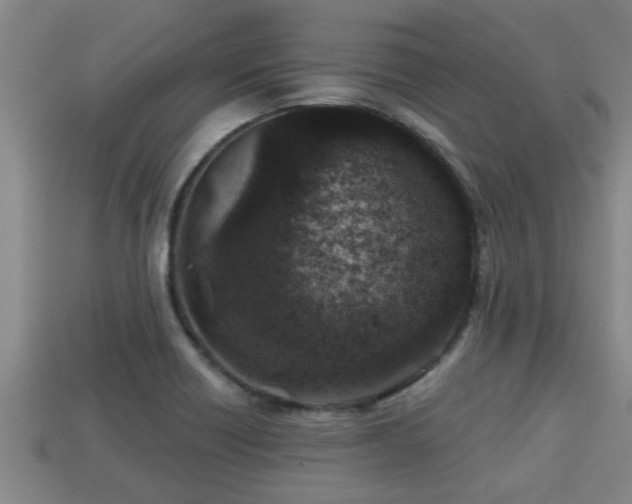 X0000113201418200909171504