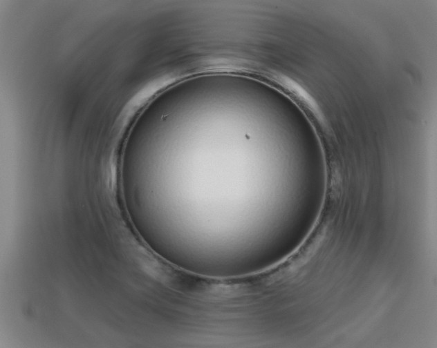 X0000113201419200909171504