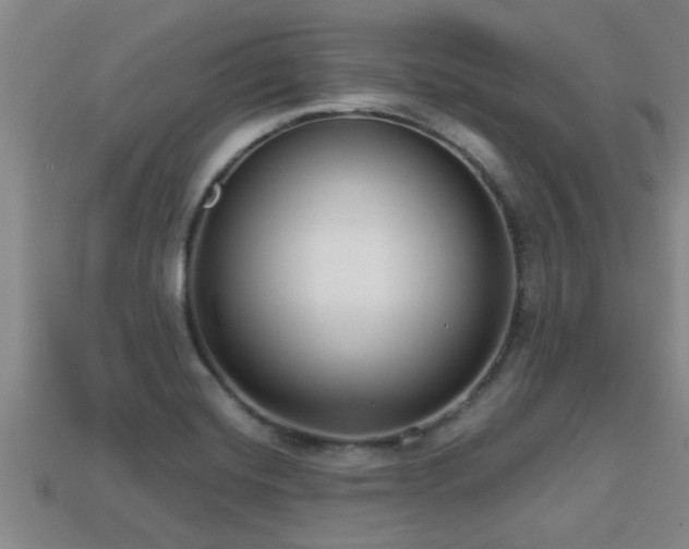 X0000113201420200909171504