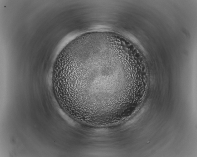 X0000113201421200909171504