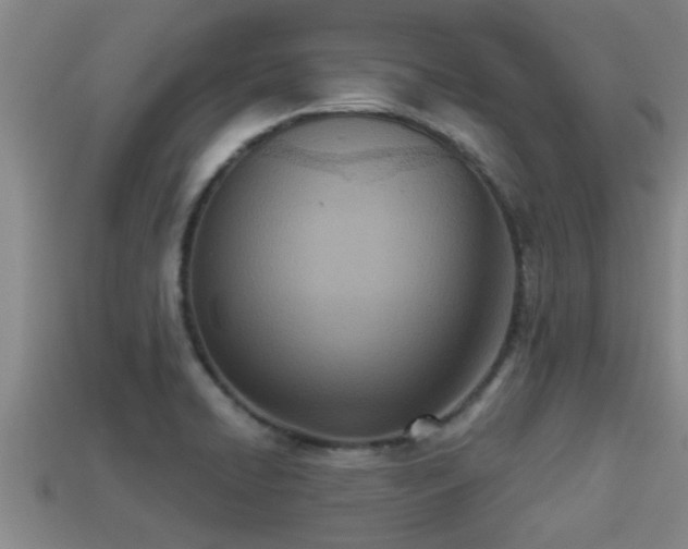 X0000113201422200909171504