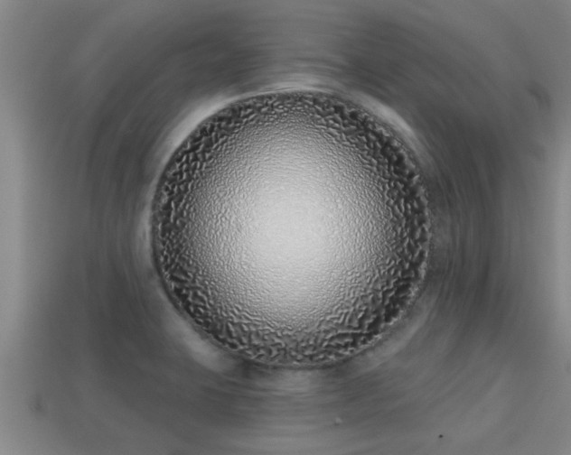 X0000113201423200909171504