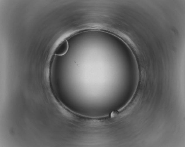 X0000113201424200909171504