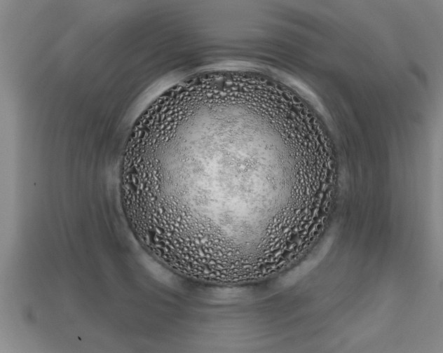 X0000113201425200909171504