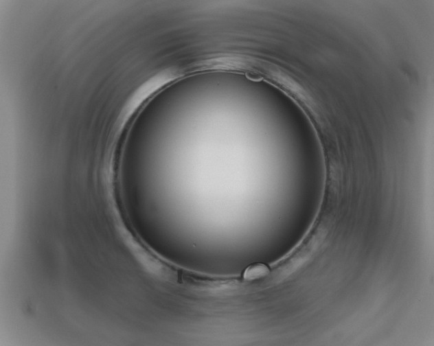 X0000113201426200909171504