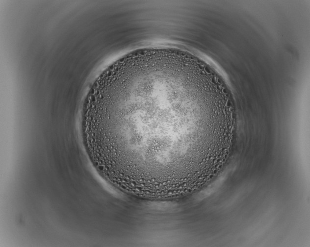 X0000113201429200909171504