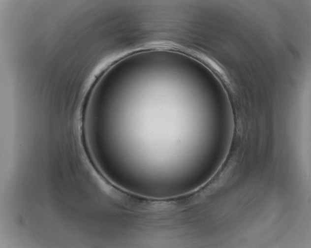 X0000113201430200909171504