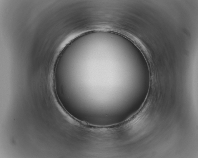 X0000113201432200909171504