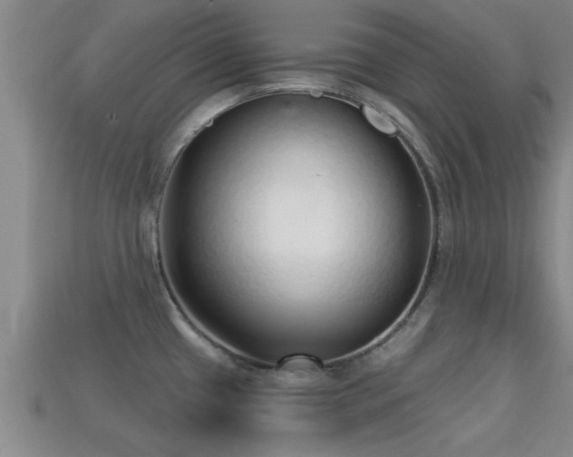 X0000113201433200909171504