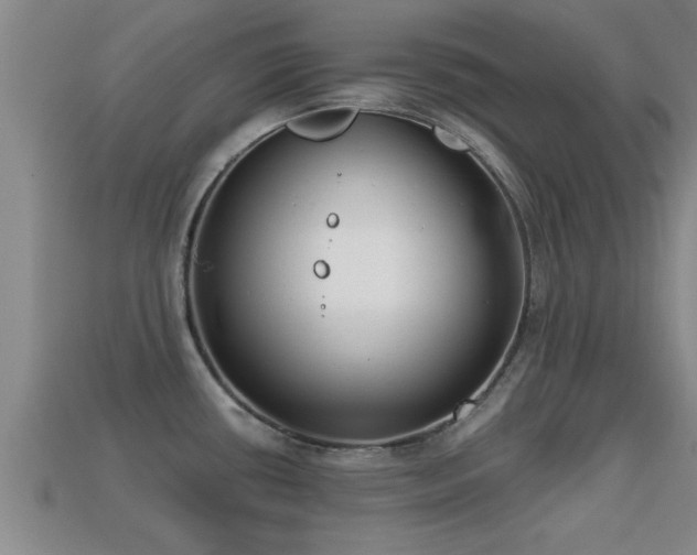 X0000113201434200909171504