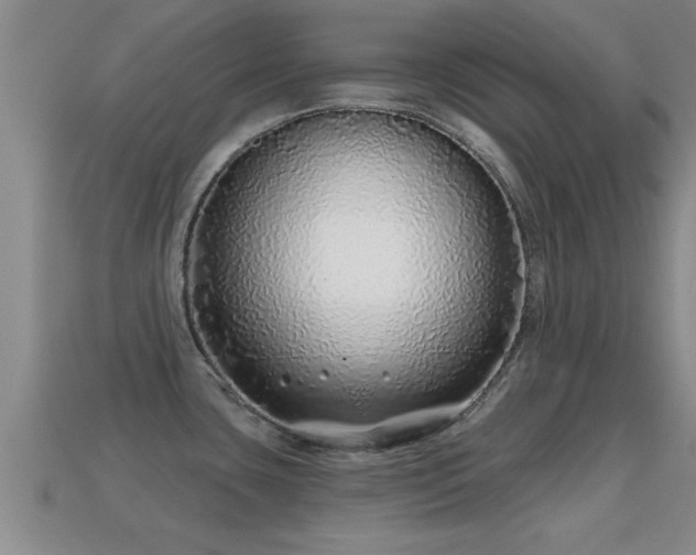 X0000113201435200909171504