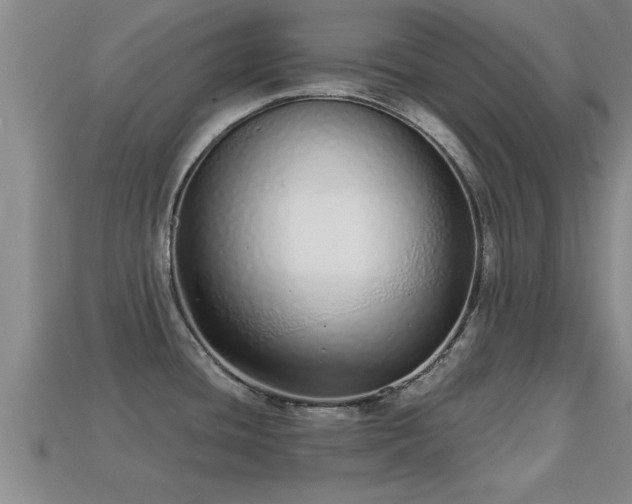 X0000113201436200909171505