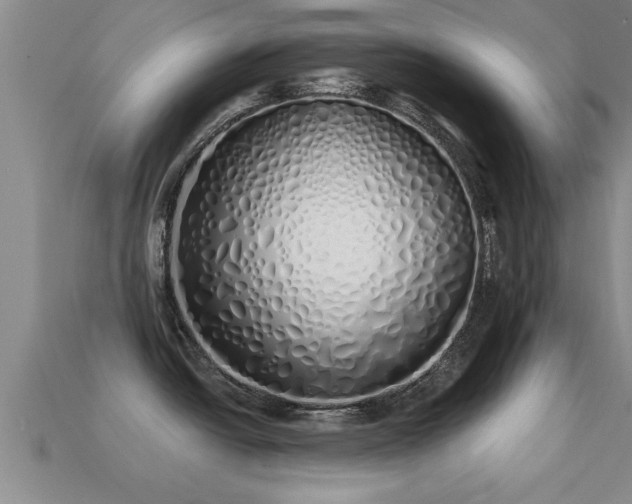 X0000113201438200909171505