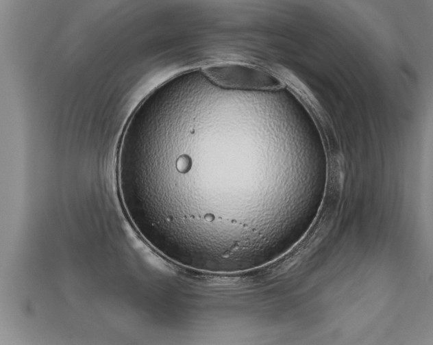 X0000113201439200909171505