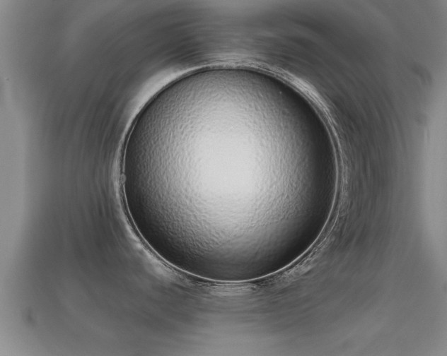 X0000113201440200909171505