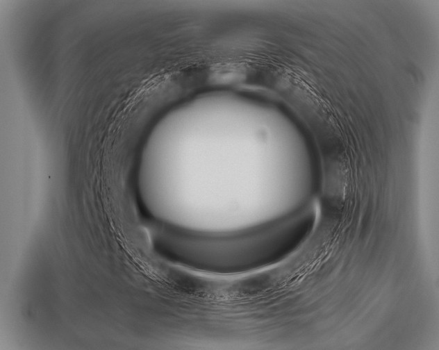 X0000113201441200909171504