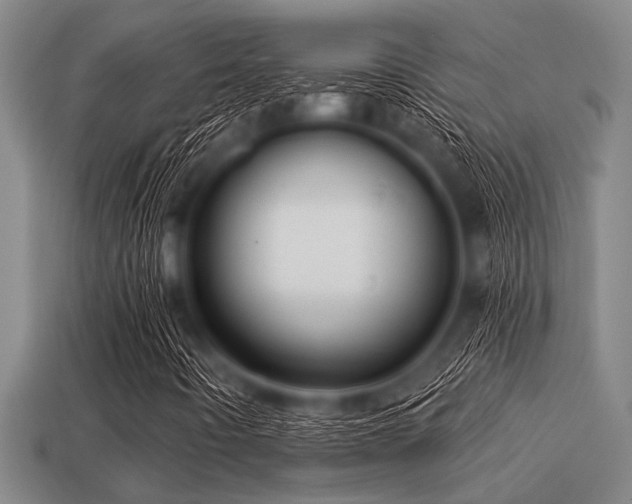 X0000113201442200909171504