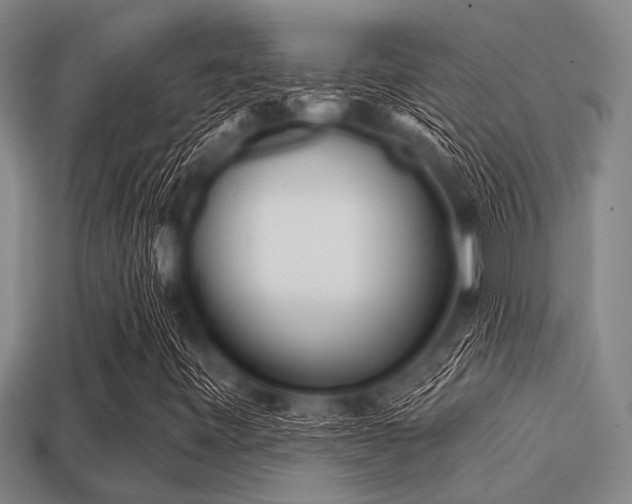 X0000113201443200909171504