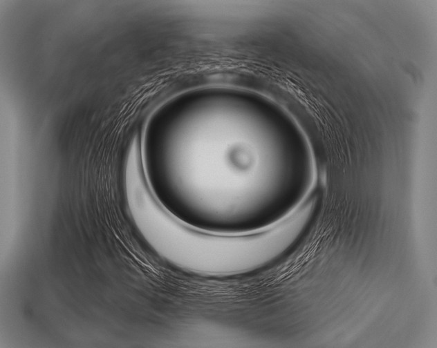 X0000113201444200909171504