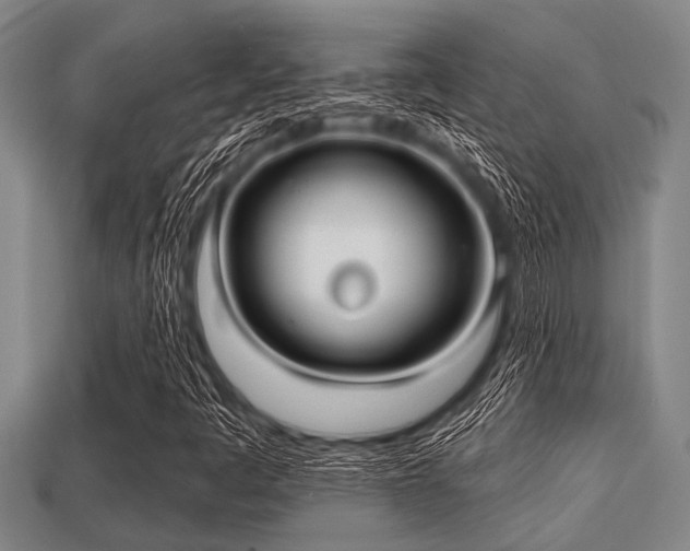 X0000113201445200909171504