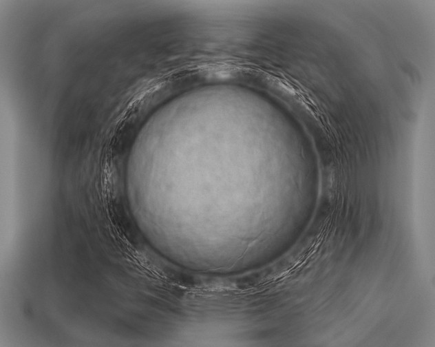 X0000113201446200909171504