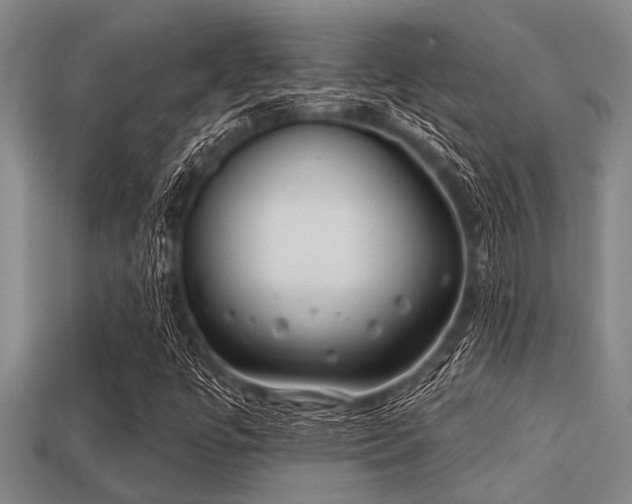 X0000113201447200909171504