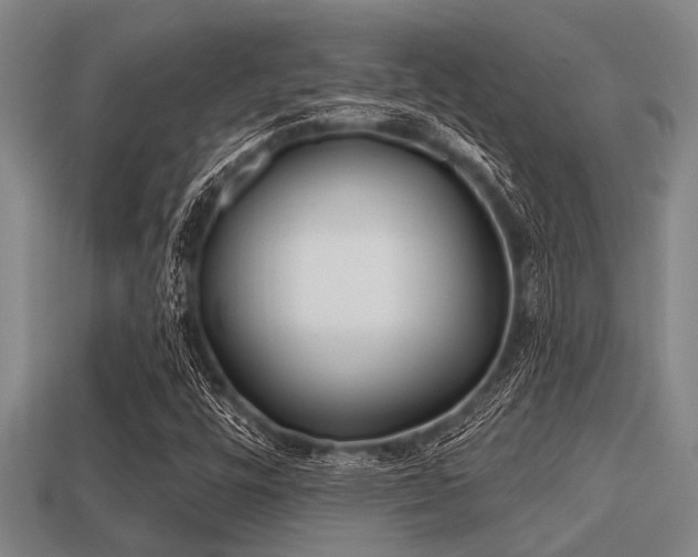 X0000113201448200909171504