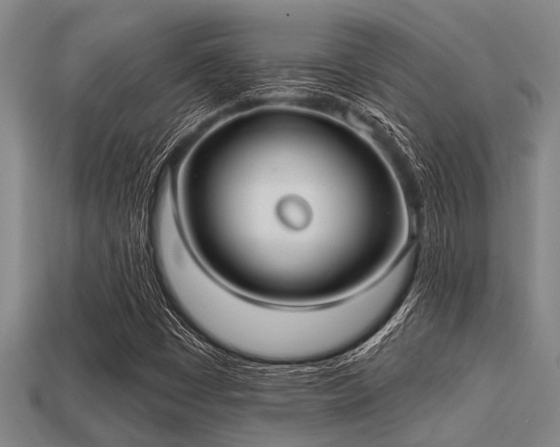 X0000113201449200909171504