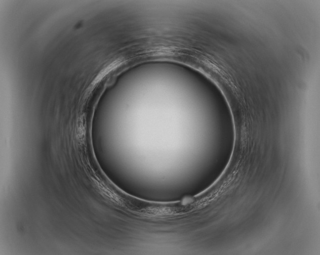 X0000113201450200909171504