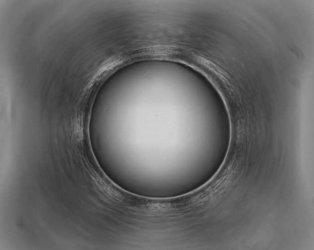 X0000113201451200909171504