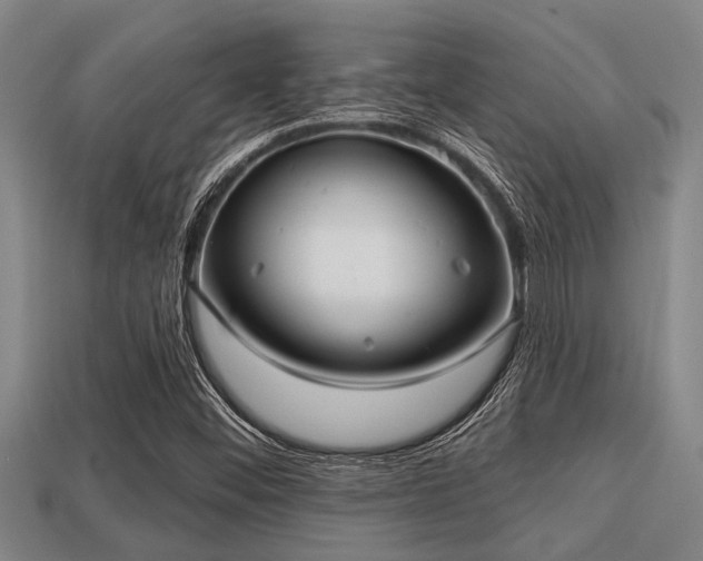 X0000113201452200909171504