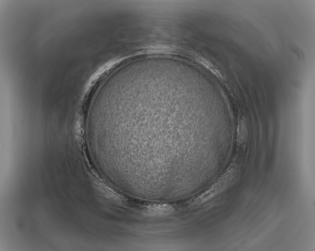 X0000113201454200909171504