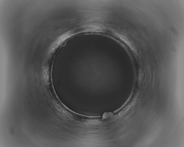 X0000113201455200909171504