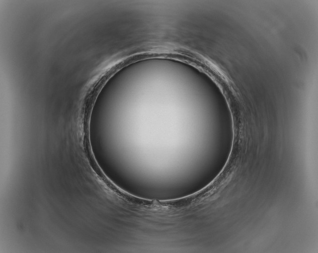 X0000113201456200909171504