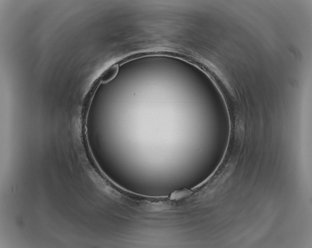 X0000113201460200909171504