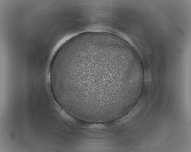 X0000113201462200909171504