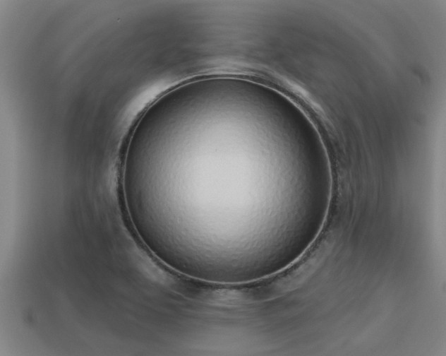 X0000113201463200909171504