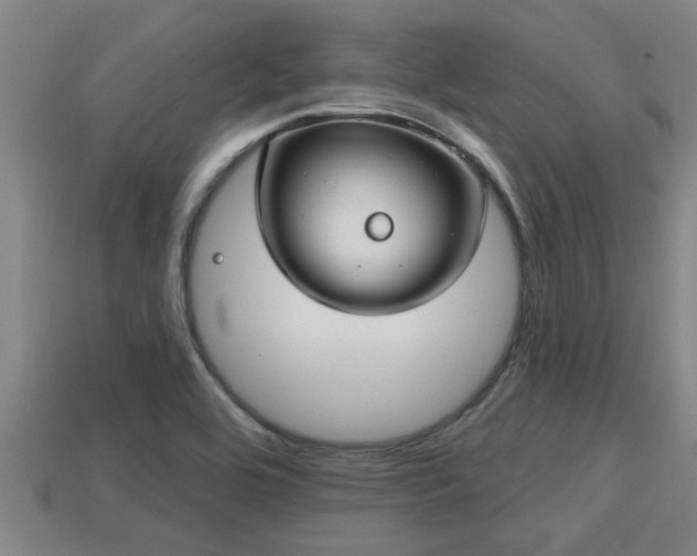 X0000113201464200909171504