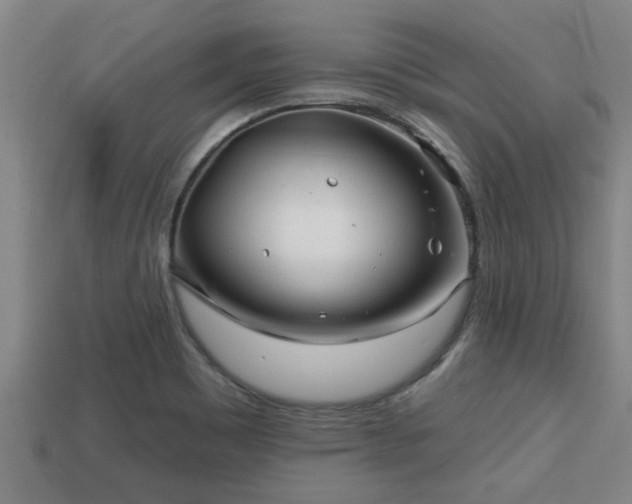 X0000113201465200909171504