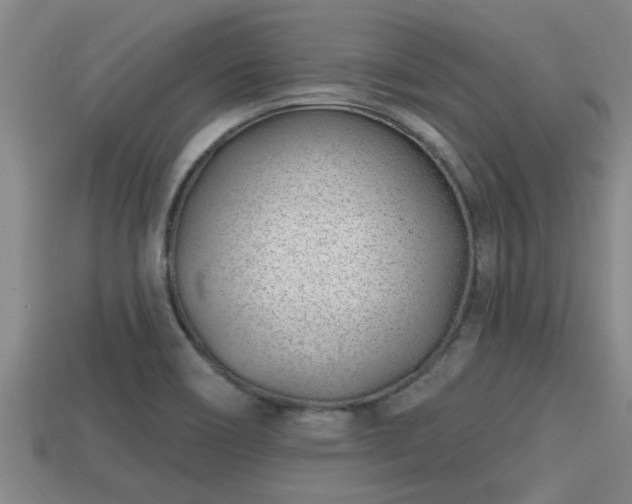 X0000113201466200909171504