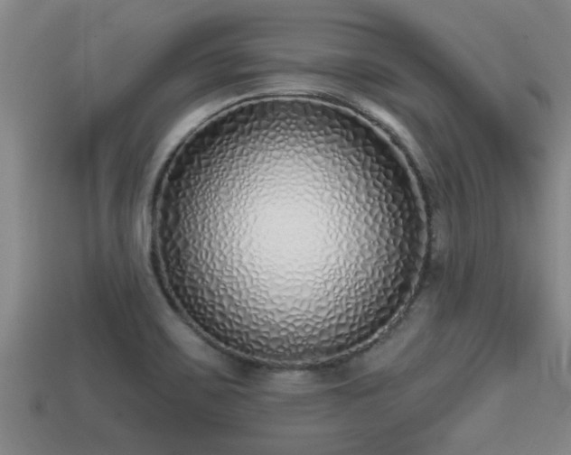 X0000113201467200909171504